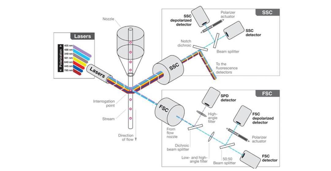 Laser Path