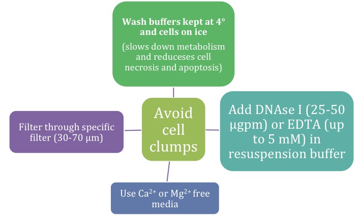 avoid cell clumps