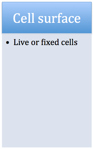 Cell surface