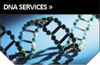 DNA Services